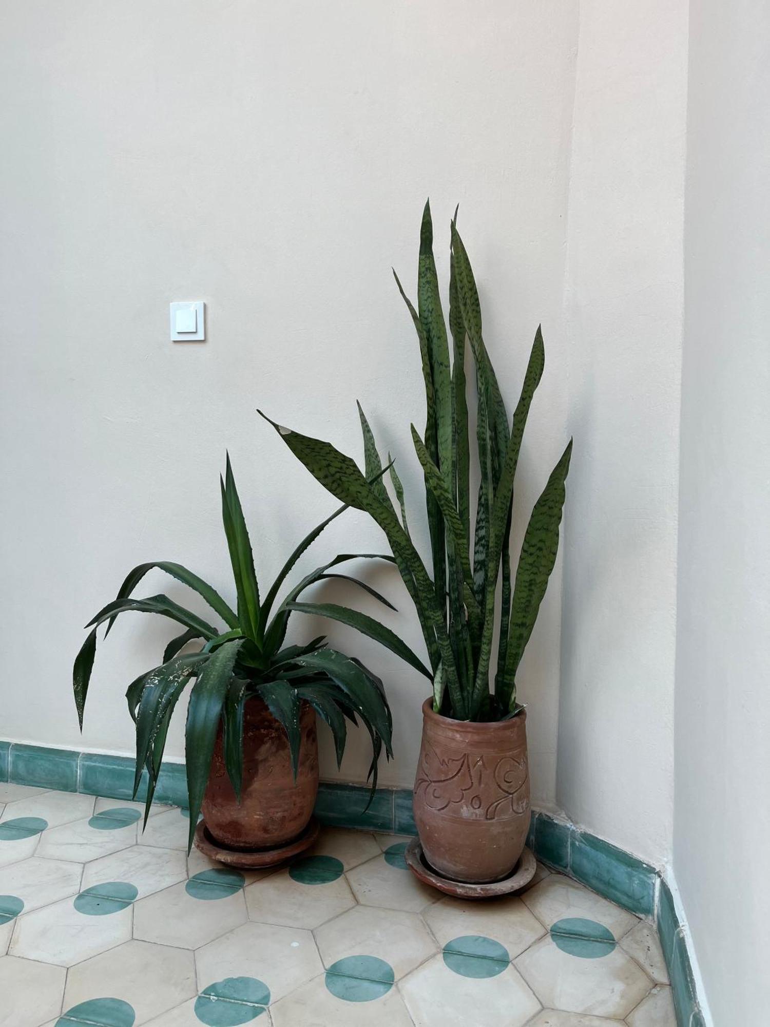 Riad Imndi Marakéš Exteriér fotografie